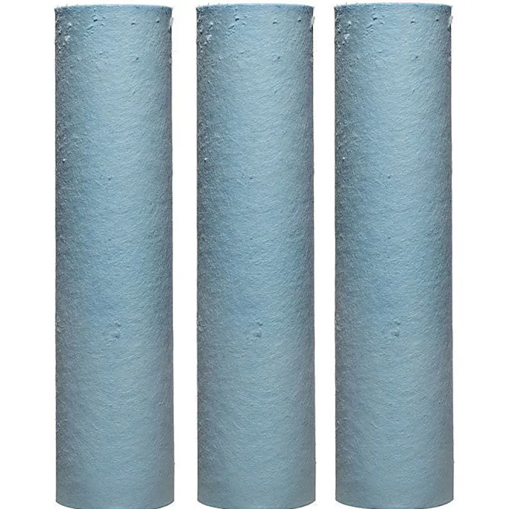 BWT Filtre Anti Calcaire-Lot De 3 Cartouches Arctic 20microns - Cartouches Anti Impuretés