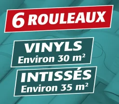 Semin Colle Papier Peint-Lot de 2 Colle en Poudre pour Papiers Peints Vinyls et Intissés , Boite de 300 g