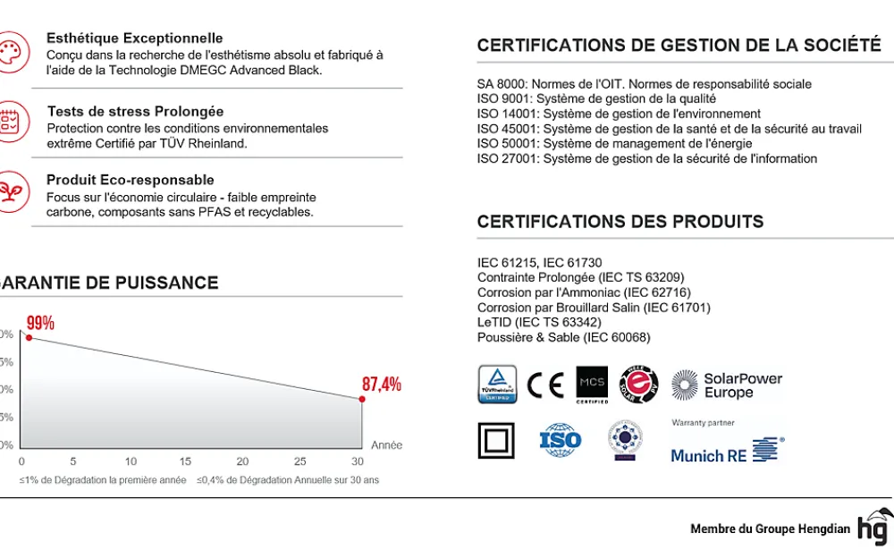 Dmegc Panneau Solaire À Composer-Lot de 4 Panneaux solaires 450Wc Bifacial - Bi-verre