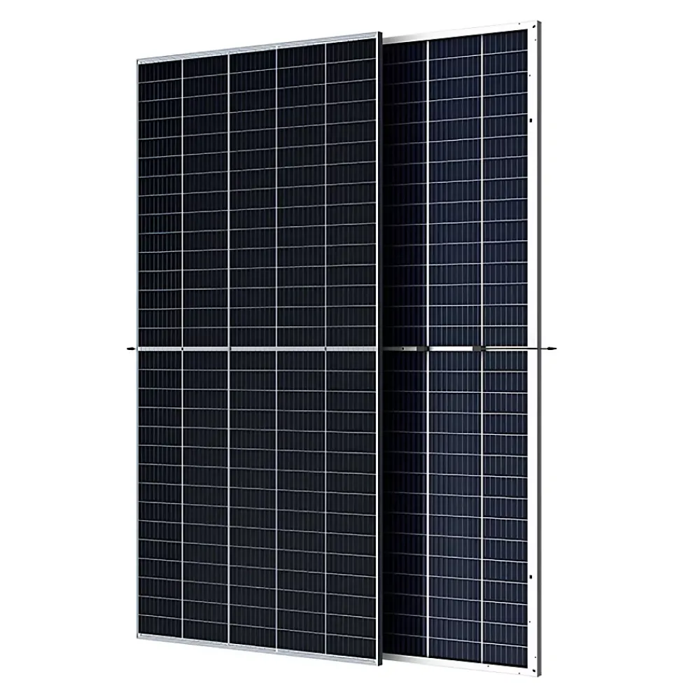 Trina Solar Lot de 2 Panneaux solaires 500Wc TrinaSolar Bifacial - Bi-verre