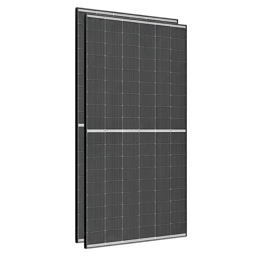 Trina Solar Lot de 2 Panneaux solaires 500Wc TrinaSolar Bifacial - Bi-verre