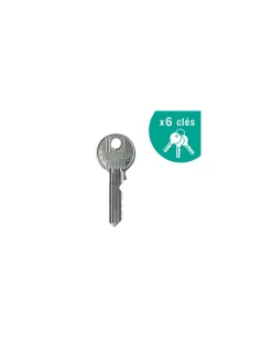 Thirard Verrou De Porte-Lot de 2 verrous à bouton Apache pour porte d'entrée, cylindre 45mm, acier, 3 clés/verrou, époxy or -