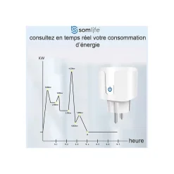 Somlife Commande De L'Éclairage-Lot 2 prises connectées application tuya smart life controle de consomation Compatible avec Alexa/Google Home