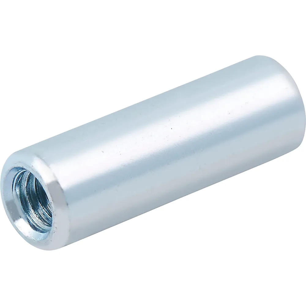 Diall Manchon Fileté-Manchon tête fraisée zingué ø 6 x 30 mm - 10 pièces