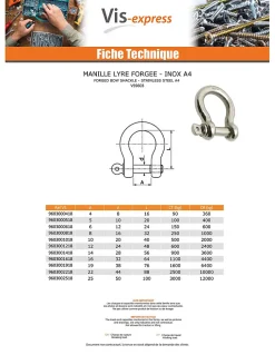Vis Express Crochet À Visser-Manille LYRE Forgée Inox A4 Diamètre 12 - 1 pièce