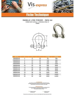 Vis Express Manille LYRE Forgée Inox A4 Diamètre 6 - 1 pièce