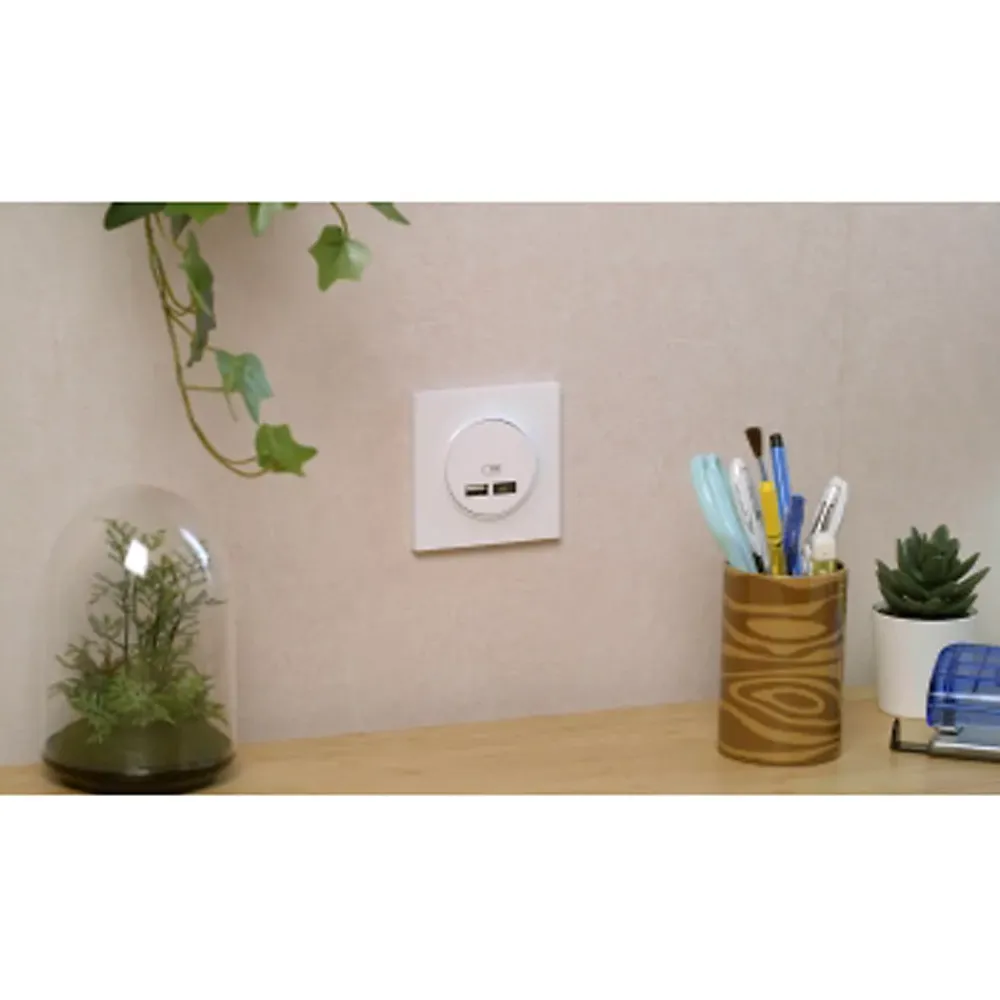 Schneider Electric Prise Encastrable-Mécanisme double chargeur usb A + C 12W Odace blanc