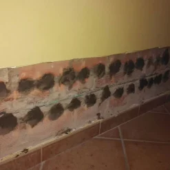 Idroless Etanchéité Du Mur Intérieur-Mortier sec anti-sel (20 kg). Crée une couche isolante sur le mur qui empêche l'apparition de taches de sel causées par l'humidité