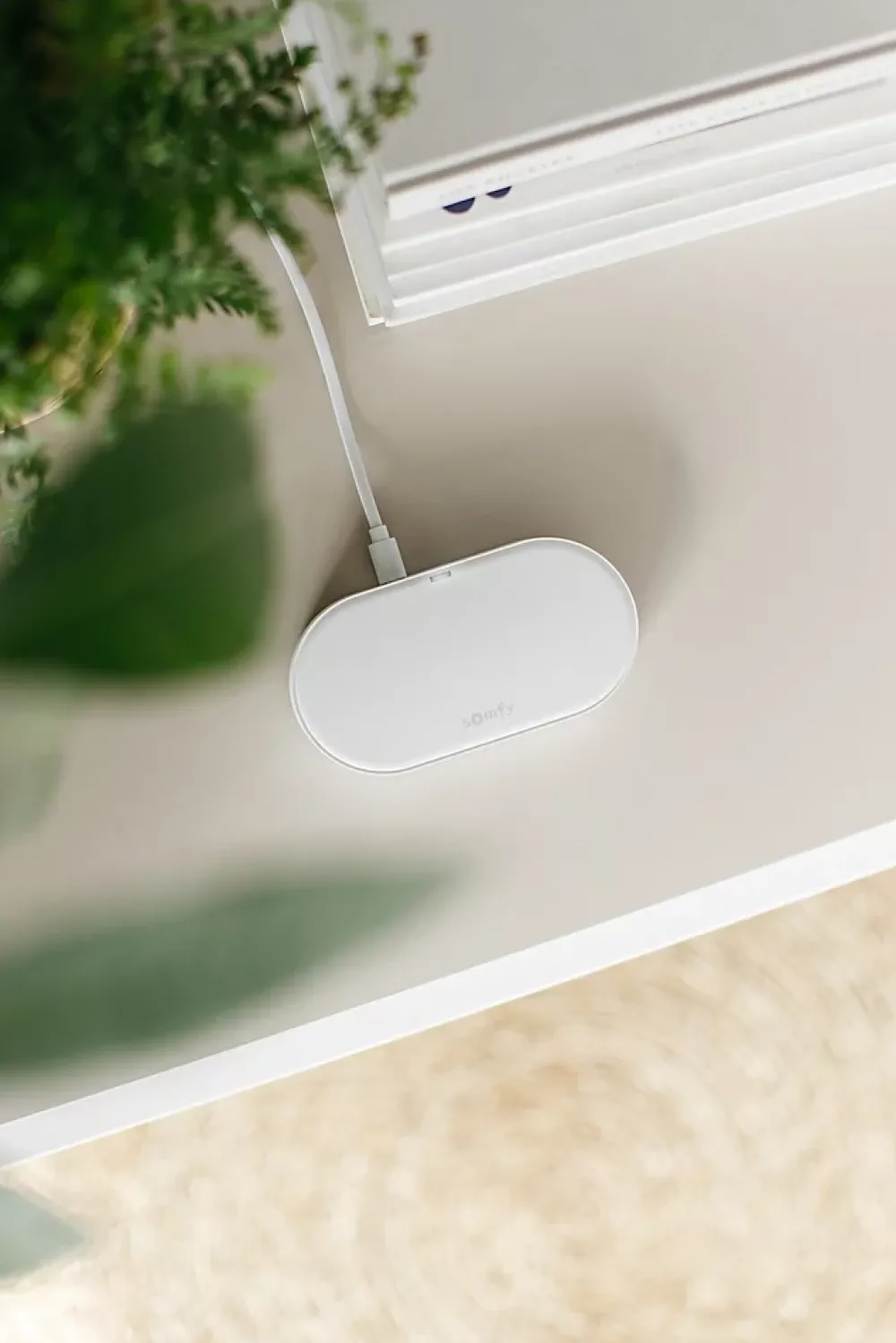 Somfy Motorisation de portail à vérins Exavia Star Connect