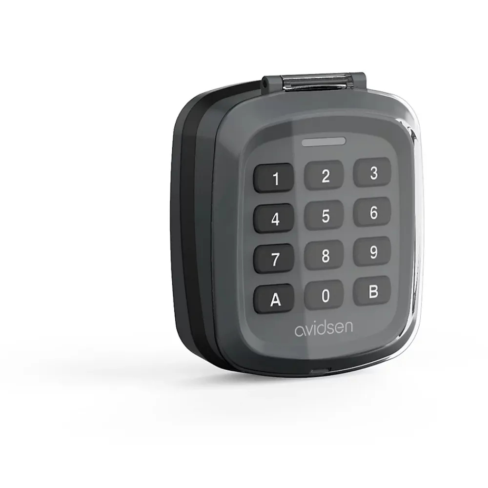 Avidsen Motorisation solaire Zenia SE avec digicode pour portail coulissant