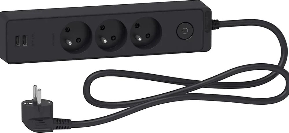 Schneider Electric Multiprise-Multiprise 3 prises + 2 usb Odace anthracite 1.5 m
