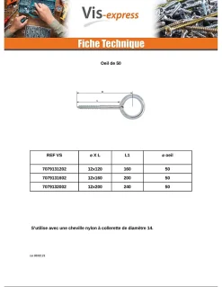 Vis Express Oeillet Echafaudage 12X190 Oeil 23 Acier zingué - 5 pièces