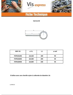 Vis Express Oeillet Echafaudage 12X120 Oeil 50 Acier zingué - 1 pièce