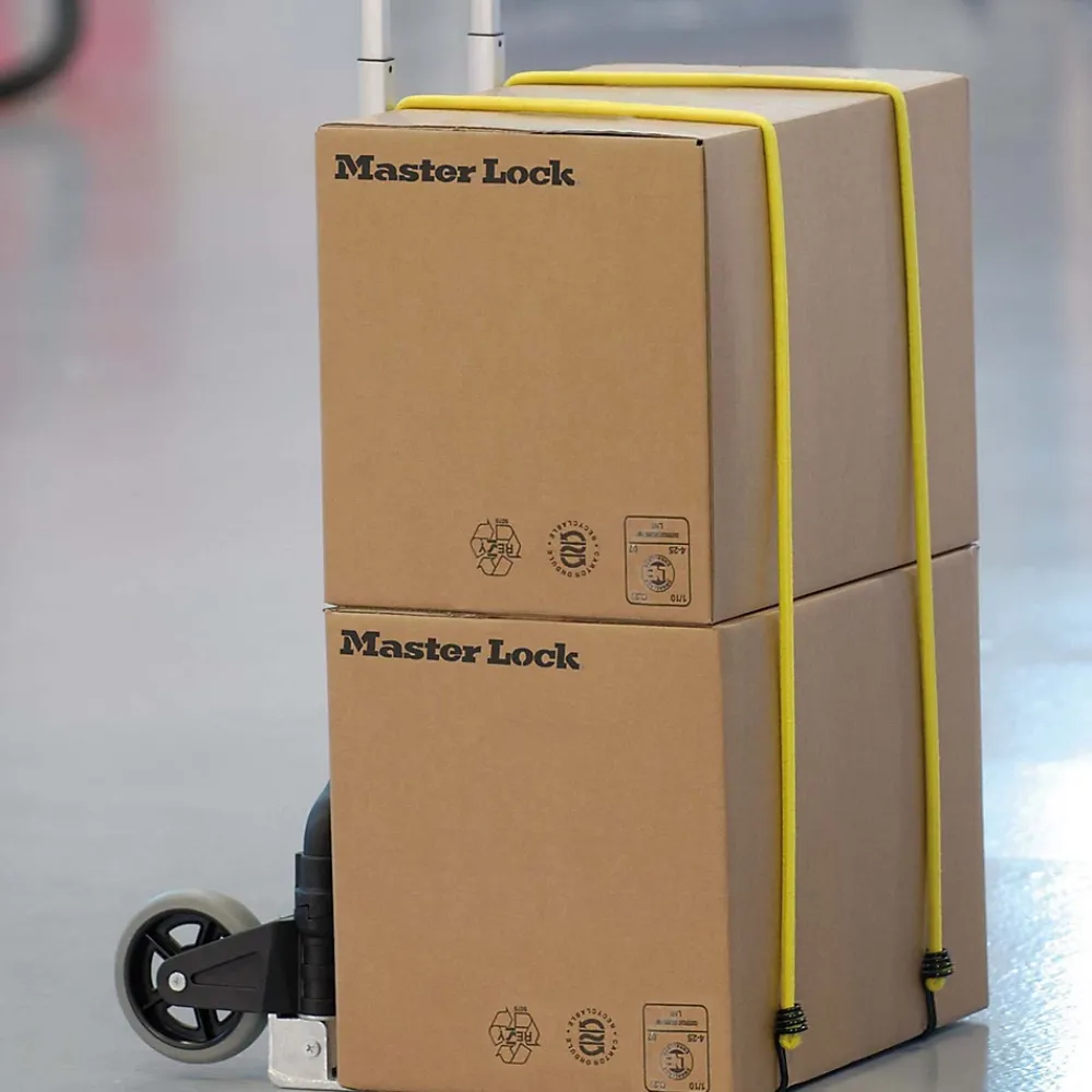 Master Lock Pack de 12 tendeurs de différentes tailles Twin Wire