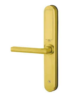 Thirard Serrure Et Gâche Électrique-Paire de poignées connectées Intelock Room hôtel, pour porte intérieure, doré - INTELOCK