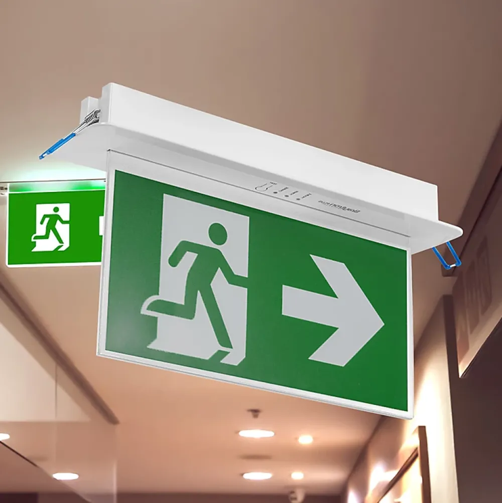 Braytron Panneau LED encastré WC - Blanc - 3W