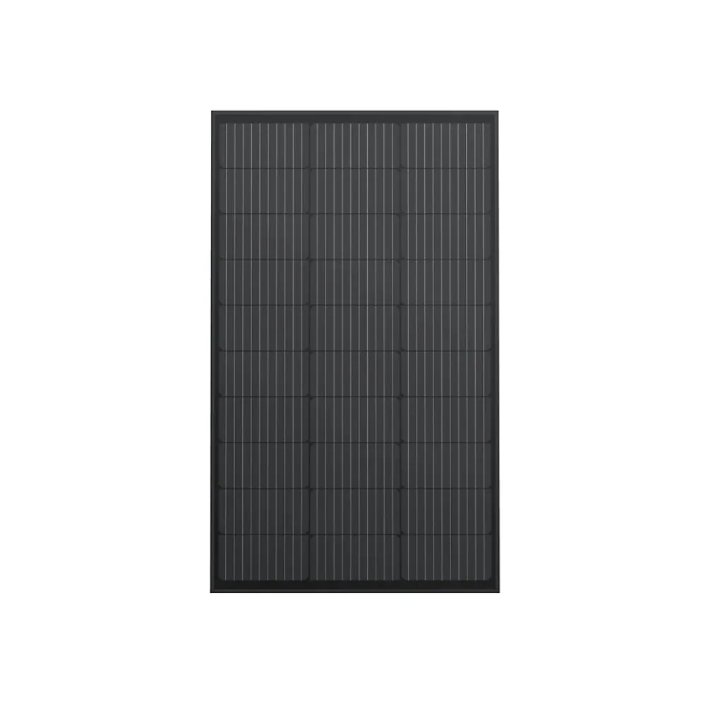 EcoFlow Panneau Solaire Plug And Play-Panneau solaire rigide 2 x 100W
