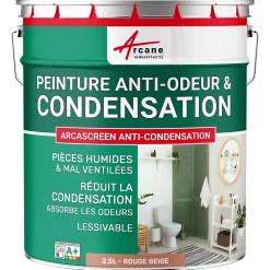 Arcane Industries Etanchéité Du Mur Intérieur-Peinture anti-condensation, anti odeur pour pièces humides Rouge beige - RAL 3012 - 2.5 L -