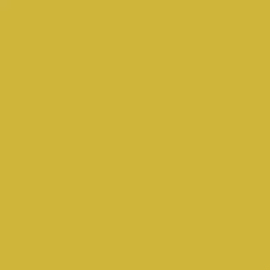 Arcane Industries Peinture anti-condensation, anti odeur pour pièces humides Jaune citron - RAL 1012 - 2.5 L -