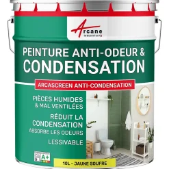Arcane Industries Peinture anti-condensation, anti odeur pour pièces humides Jaune soufre - RAL 1016 - 10 L -