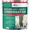 Arcane Industries Peinture anti-condensation, anti odeur pour pièces humides Bleu vert - RAL 5001 - 10 L -