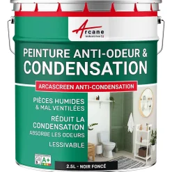 Arcane Industries Etanchéité Du Mur Intérieur-Peinture anti-condensation, anti odeur pour pièces humides Noir foncé RAL 9005 - 2.5 L -