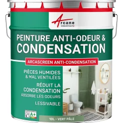 Arcane Industries Peinture anti-condensation, anti odeur pour pièces humides Vert Pâle - RAL 6021 - 10 L -