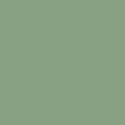 Arcane Industries Peinture anti-condensation, anti odeur pour pièces humides Vert Pâle - RAL 6021 - 10 L -