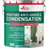 Arcane Industries Peinture anti-condensation, anti odeur pour pièces humides Vert clair - RAL 6027 - 2.5 L -