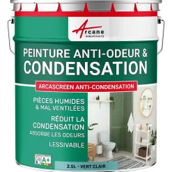 Arcane Industries Peinture anti-condensation, anti odeur pour pièces humides Vert clair - RAL 6027 - 2.5 L -