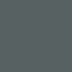 Arcane Industries Peinture anti-condensation, anti odeur pour pièces humides Gris Basalte - RAL 7012 - 10 L -