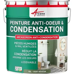 Arcane Industries Peinture anti-condensation, anti odeur pour pièces humides Vert Réséda - RAL 6011 - 10 L -