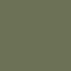 Arcane Industries Peinture anti-condensation, anti odeur pour pièces humides Vert jonc - RAL 6013 - 10 L -