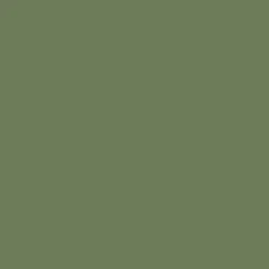 Arcane Industries Peinture anti-condensation, anti odeur pour pièces humides Vert Réséda - RAL 6011 - 2.5 L -