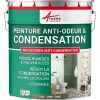 Arcane Industries Etanchéité Du Mur Intérieur-Peinture anti-condensation, anti odeur pour pièces humides Vert jonc - RAL 6013 - 2.5 L -