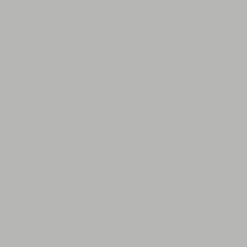 Ripolin Etanchéité Du Mur Intérieur-Peinture anti-humidité intérieur satin gris souris 0,75L