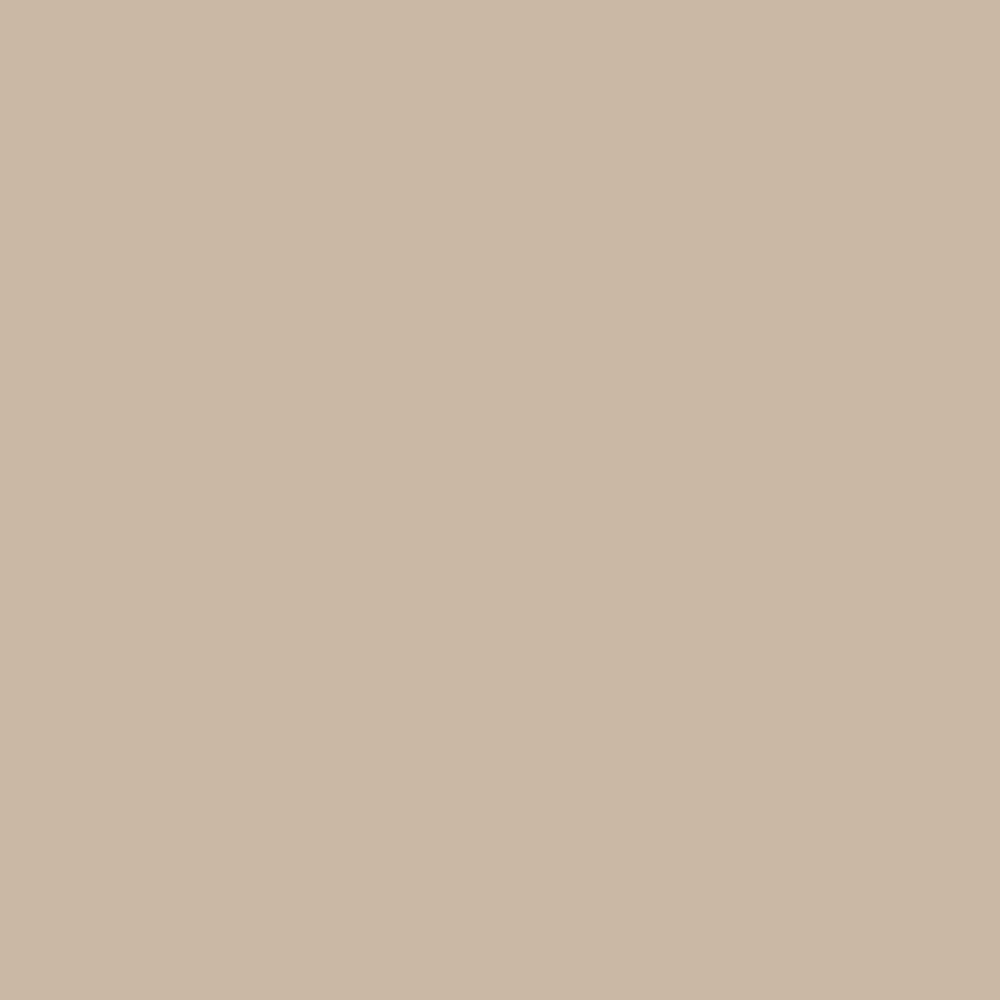 Ripolin Peinture anti-humidité intérieur satin lin L