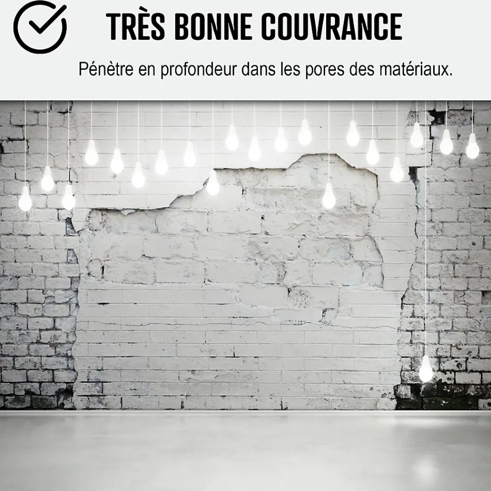 Arcane Industries Etanchéité Du Mur Intérieur-Peinture anti humidité mur humide salle de bain - ARCASCREEN - 2.5 L (jusqu'à 10 m²) -