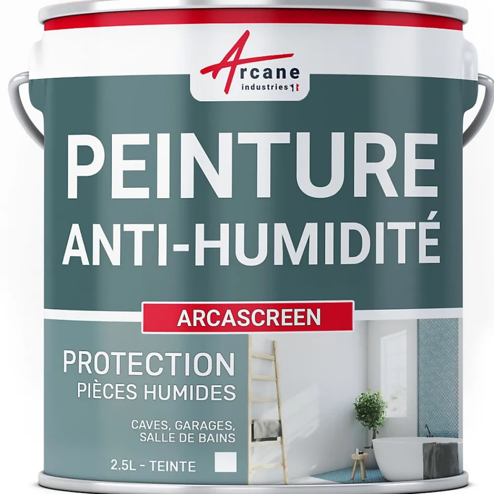 Arcane Industries Etanchéité Du Mur Intérieur-Peinture anti humidité mur humide salle de bain - ARCASCREEN - 2.5 L (jusqu'à 10 m²) -