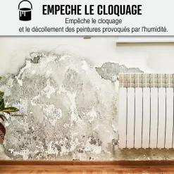 Arcane Industries Etanchéité Du Mur Intérieur-Peinture anti humidité mur humide salle de bain - ARCASCREEN - 2.5 L (jusqu'à 10 m²) -