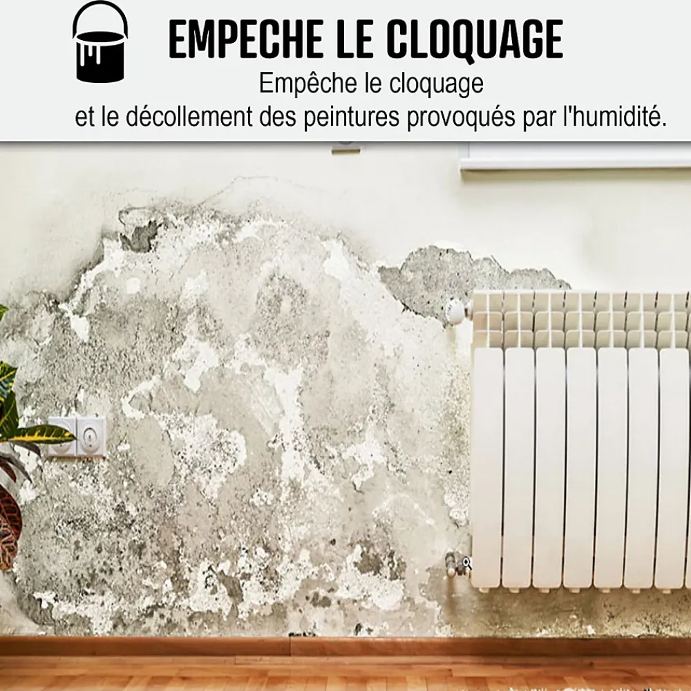 Arcane Industries Etanchéité Du Mur Intérieur-Peinture anti humidité mur humide salle de bain - ARCASCREEN - 2.5 L (jusqu'à 10 m²) -