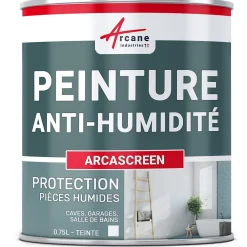 Arcane Industries Etanchéité Du Mur Intérieur-Peinture anti humidité mur humide salle de bain - ARCASCREEN - 0.75 L (jusqu'à 3 m²) -