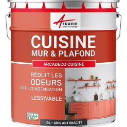Arcane Industries Peinture cuisine lavable, mur et plafond Gris Anthracite - RAL 7016 - 10 L -