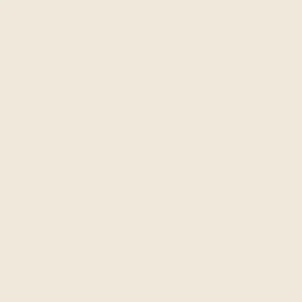 Arcane Industries Peinture cuisine lavable, mur et plafond Blanc Crème - 10 L -