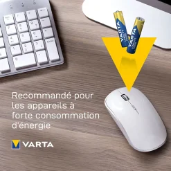 Varta Pile alcaline AAA (LR03) Long-life Power, lot de 12