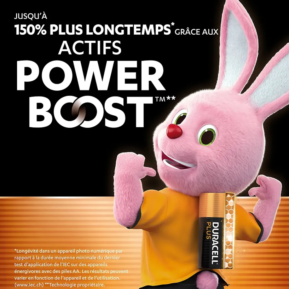 Duracell Pile alcaline AA (LR6) Plus Power Boost, lot de 12