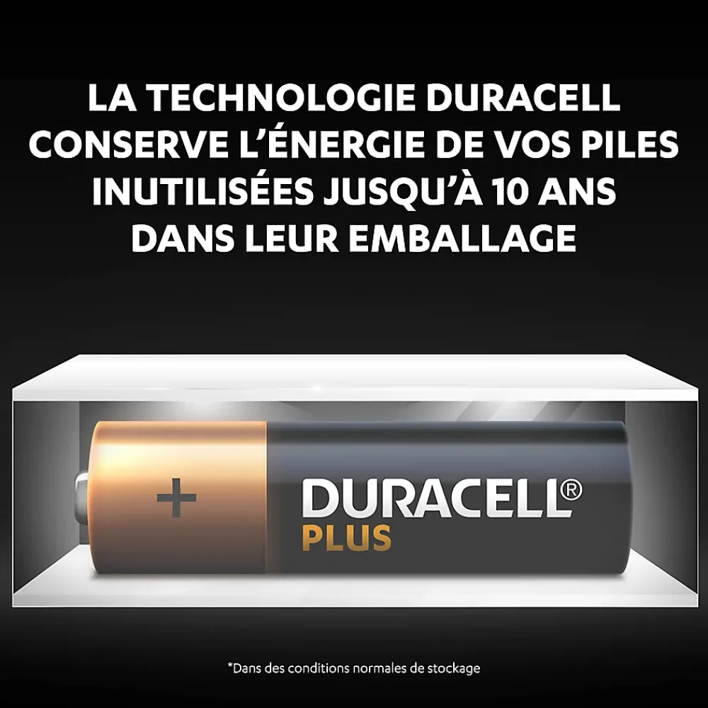 Duracell Pile alcaline AA (LR6) Plus non rechargeable, lot de 12