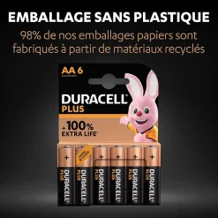 Duracell Pile alcaline AA (LR6) Plus, lot de 6