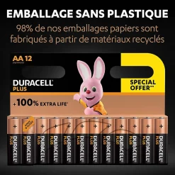Duracell Pile alcaline AA (LR6) Plus, lot de 12