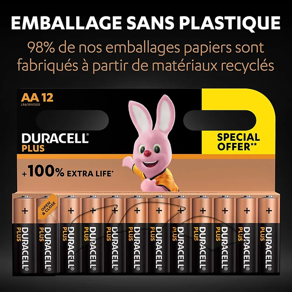 Duracell Pile alcaline AA (LR6) Plus, lot de 12